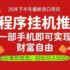 2025微信小程序推广最新玩法教学 手机可操作低门槛赚钱项目-雨叶虚拟资源网