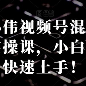 张小伟视频号混剪带货实操课 零基础小白也能快速上手运营-雨叶虚拟资源网