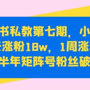 小红书私教第七期教程:90天涨粉18万实操及变现全攻略-雨叶虚拟资源网