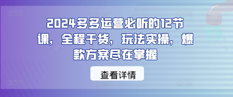 2024拼多多运营必学12节实操课 覆盖爆款打造流量玩法全干货