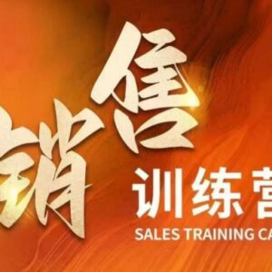 销售训练营系统课程 吃透销售核心本质 助力业绩提升财富增长-雨叶虚拟资源网
