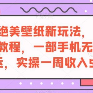 抖音绝美壁纸号新玩法教程 单人用手机就能做的低门槛副业项目-雨叶虚拟资源网