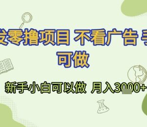 无需看广告的手机零撸项目分享 新手小白可操作月入3000+-雨叶虚拟资源网