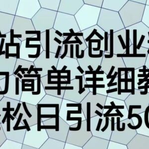 B站引流创业粉保姆级教程 全流程实操实现日引流50+方法详解-雨叶虚拟资源网