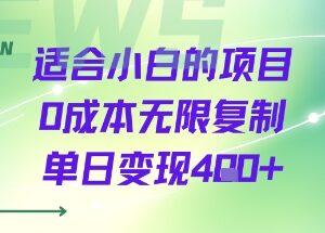 适合零基础小白操作的零成本可复制项目 单日可变现四百元以上-雨叶虚拟资源网