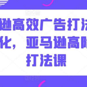 亚马逊高阶广告打法教程 高效投放及数据优化实操指南-雨叶虚拟资源网