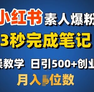 小红书素人爆粉实操教程 快速做笔记日引500+变现玩法分享-雨叶虚拟资源网