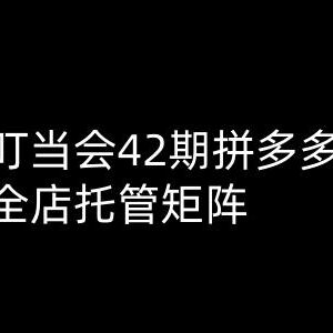 叮当会第42期拼多多高阶运营教程 全店托管矩阵实操玩法解析-雨叶虚拟资源网