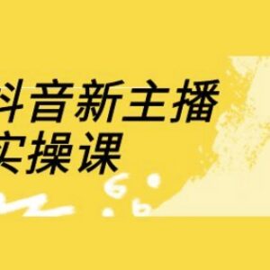 抖音新主播18节线上实操课 直播间流量运营全流程教学-雨叶虚拟资源网