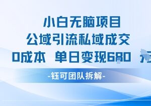 适合小白操作的零成本公域引流私域成交项目 单日可变现680元-雨叶虚拟资源网