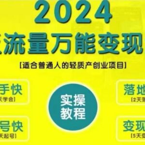 2024泛流量万能变现法教程 普通人轻资产创业变现实操指南-雨叶虚拟资源网