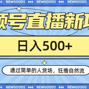 视频号直播自然流量获取方法 普通人低门槛操作日入500+实操指南-雨叶虚拟资源网