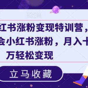 19天小红书涨粉变现特训营 从起号到变现全流程实操教学-雨叶虚拟资源网