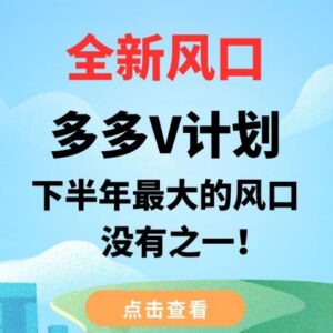 2023多多V计划项目玩法拆解 多多视频小红书双端收益获取指南-雨叶虚拟资源网