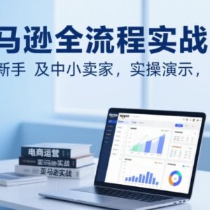亚马逊开店运营全流程实战教程 新手中小卖家实操入门指南-雨叶虚拟资源网
