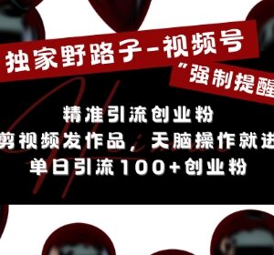 视频号无需剪辑发作品引流创业粉 单日引流100+实操教程-雨叶虚拟资源网
