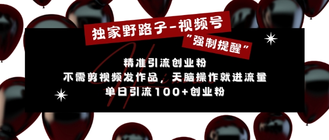 视频号无需剪辑发作品引流创业粉 单日引流100+实操教程