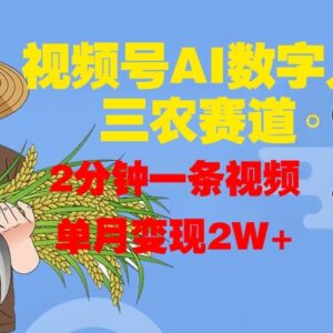 视频号AI数字人运营三农赛道 高效做内容单月变现实操教程-雨叶虚拟资源网