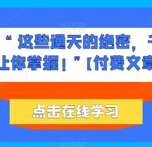 适合18-35岁普通寒门年轻人的人生初期破局思路干货-雨叶虚拟资源网
