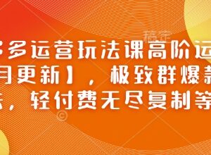 2025年2月更新拼多多高阶运营课 群爆款轻付费玩法实操教程-雨叶虚拟资源网