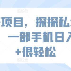 探探私域引流蓝海项目实操 单人一部手机可操作日入500+-雨叶虚拟资源网