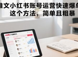 小说推文小红书账号运营实操技巧 简单易上手快速实现爆单-雨叶虚拟资源网