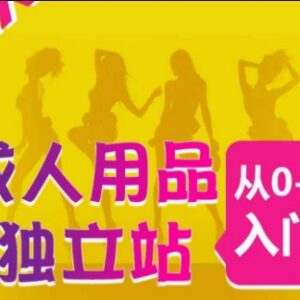 成人用品独立站0-1入门指南 运营全流程及高销量站点推荐-雨叶虚拟资源网