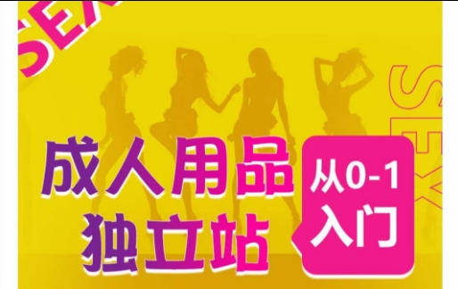 成人用品独立站0-1入门指南 运营全流程及高销量站点推荐