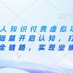 IP合伙人知识付费虚拟项目实操教程 从引流到成交打通变现全链路-雨叶虚拟资源网