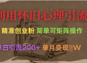 巧用8090怀旧心理引流创业粉 矩阵操作单日引流200+实操教程-雨叶虚拟资源网