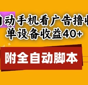 全自动看广告赚收益玩法分享 附脚本单设备日入40+可矩阵操作-雨叶虚拟资源网