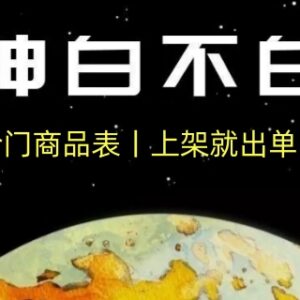 电商蓝海冷门选品清单 低门槛上架易出单附运营思路持续更新-雨叶虚拟资源网