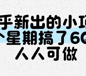 知乎新出人人可做低门槛小项目 单周收益实操完整流程指南-雨叶虚拟资源网