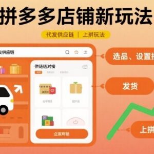 拼多多代发供应链上拼玩法教程 零基础电商店铺运营实操攻略-雨叶虚拟资源网