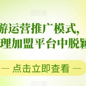 2023手游运营推广模式解析 助力手游代理加盟从业者脱颖而出-雨叶虚拟资源网
