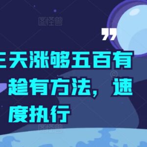 2024抖音三天涨五百有效粉实操方法 新手可快速落地执行-雨叶虚拟资源网