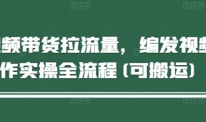 短视频带货拉流量教程 编发视频制作全流程及可搬运玩法解析-雨叶虚拟资源网