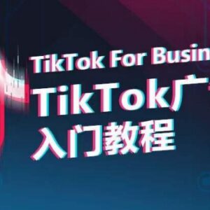 TikTok广告投放从0到1入门教程 全流程实操技巧详解-雨叶虚拟资源网