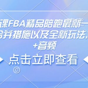 2025亚马逊FBA精品陪跑线下课 含评论合并新规应对及配套资料-雨叶虚拟资源网