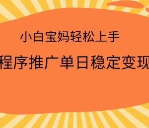 2025小程序推广变现实操教程 小白宝妈用手机即可轻松上手-雨叶虚拟资源网