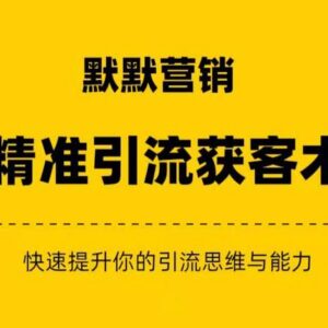 精准引流私域营销赚钱三件套课程 提升营销思维与变现能力-雨叶虚拟资源网