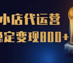 快手小店代运营托管项目详解 零门槛无需运营稳定变现玩法-雨叶虚拟资源网