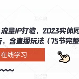 2023实体店同城引流获客教程 含IP打造及直播玩法75节完整版-雨叶虚拟资源网