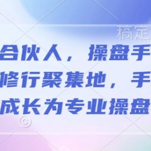 2025操盘手合伙人实战修行培训课 手把手带你成长为专业操盘手-雨叶虚拟资源网
