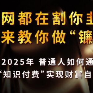 2025普通人知识付费实操指南 互联网盈利底层逻辑全解析-雨叶虚拟资源网