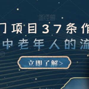 AI绘画做中老年赛道图文项目 37条作品涨粉13万玩法揭秘-雨叶虚拟资源网