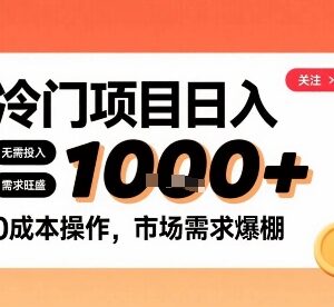 小红书冷门零成本副业实操方法 新手日均千元收益可长期运营-雨叶虚拟资源网