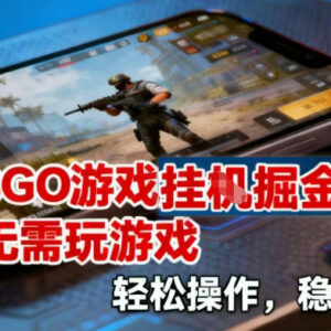 CSGO饰品全自动捡漏赚差价项目详解 无需玩游戏操作简单收益稳定-雨叶虚拟资源网