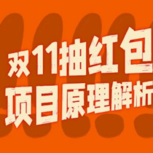 2024双11抽红包视频裂变项目完整制作攻略 实操盈利玩法全解析-雨叶虚拟资源网