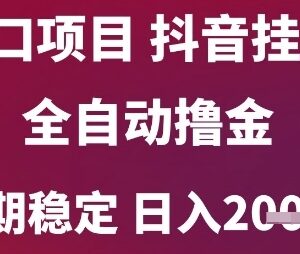 2024年6月抖音无人挂机全自动撸金 稳定收益项目玩法揭秘-雨叶虚拟资源网